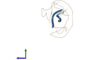 Protein Structure (PS) image for Cytokeratin-2P (KRT76) (AA 1-638) protein (His tag) (ABIN7548654)