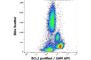 Flow Cytometry (FACS) image for anti-B-Cell CLL/lymphoma 2 (BCL2) (AA 41-54) antibody (ABIN1302482)
