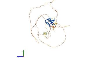 Protein Structure (PS) image for Forkhead Box A1 (FOXA1) (AA 1-472) protein (His tag) (ABIN7553934)
