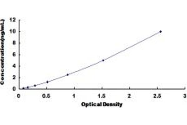 AP2M1 ELISA 试剂盒