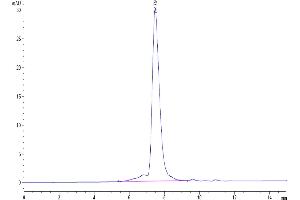 Size-exclusion chromatography-High Pressure Liquid Chromatography (SEC-HPLC) image for Tumor-Associated Calcium Signal Transducer 2 (TACSTD2) (AA 25-270) protein (His tag) (ABIN7275797)