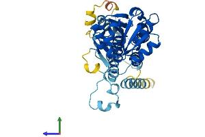 Protein Structure (PS) image for Eukaryotic Translation Initiation Factor 2B, Subunit 2 Beta, 39kDa (EIF2B2) (AA 1-351) protein (His tag) (ABIN7547358)
