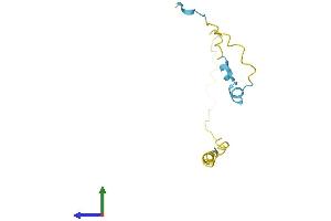 AlphaFold protein structure predicition of Mouse Recombinant Hmgn3 Protein, UniprotID Q9DCB1