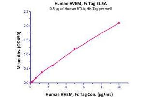 Binding Studies (Bind) image for Tumor Necrosis Factor Receptor Superfamily, Member 14 (TNFRSF14) (AA 39-202) (Active) protein (Fc Tag) (ABIN6253723)