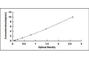 Typical standard curve (MTA2 ELISA 试剂盒)