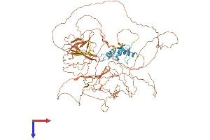 AlphaFold protein structure predicition of Mouse Recombinant Sp4 Protein, UniprotID Q62445 (SP4 Protein (AA 1-782) (His tag))