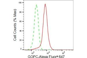 Flow cytometric analysis of GOPC expression in HeLa cells using GOPC antibody (ABIN7798796), 1:2,000). (Recombinant GOPC 抗体)