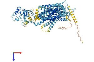 Solute Carrier Family 44, Member 3 (SLC44A3) (AA 1-656) protein (His tag)