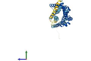 Protein Structure (PS) image for Growth Hormone Secretagogue Receptor (GHSR) (AA 1-364) protein (His tag) (ABIN7560451)
