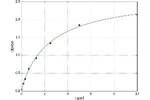 Hydroxyacyl-CoA Dehydrogenase (HADH) ELISA Kit