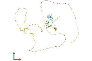 Protein Structure (PS) image for Zinc Finger Protein 265 (Zranb2) (AA 1-330) protein (His tag) (ABIN7545604)
