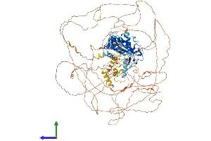 Protein Structure (PS) image for AT Rich Interactive Domain 5B (MRF1-Like) (ARID5B) (AA 1-1188) protein (His tag) (ABIN7564391)