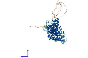 Protein Structure (PS) image for Uridine-Cytidine Kinase 1-Like 1 (UCKL1) (AA 1-548) protein (His tag) (ABIN7544950)