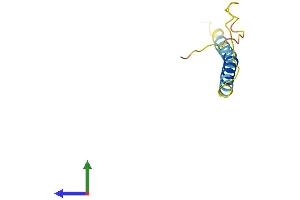 Protein Structure (PS) image for Adipogenin (ADIG) (AA 1-80) protein (Fc Tag) (ABIN7552031)
