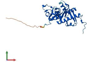AlphaFold protein structure predicition of Human Recombinant APIP Protein, UniprotID Q96GX9