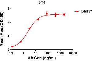 ELISA plate pre-coated by 1 μg/mL (100 μL/well) Human 5T4 protein, His tagged protein ((ABIN6964086, ABIN7042427 and ABIN7042428)) can bind Rabbit anti-5T4 monoclonal antibody(clone: DM137) in a linear range of 0. (TPBG 抗体  (AA 32-355))