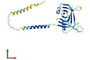 AlphaFold protein structure predicition of Mouse Recombinant Itm2a Protein, UniprotID Q61500