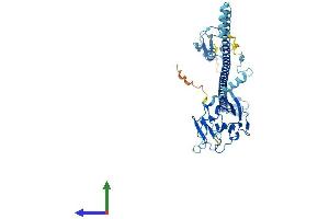 Protein Structure (PS) image for Tripartite Motif Containing 50 (TRIM50) (AA 1-487) protein (His tag) (ABIN7544747)