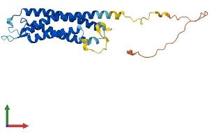 Protein Structure (PS) image for Synaptogyrin 1 (SYNGR1) (AA 1-234) protein (His tag) (ABIN7562479)