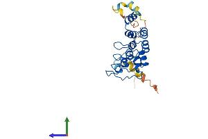 Protein Structure (PS) image for Ankyrin Repeat Domain 49 (ANKRD49) (AA 1-239) protein (His tag) (ABIN7552159)