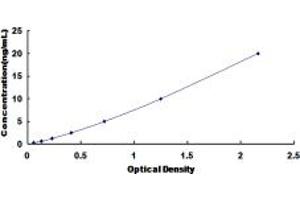 Typical standard curve (PDIA4 ELISA 试剂盒)