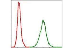 Flow cytometric analysis of Jurkat cells using NEFL mouse mAb (green) and negative control (red). (NEFL 抗体)