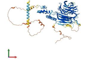 Protein Structure (PS) image for F-Box and WD Repeat Domain Containing 8 (FBXW8) (AA 1-598) protein (His tag) (ABIN7564364)