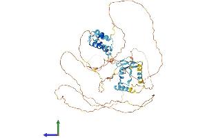 Protein Structure (PS) image for Mediator Complex Subunit 26 (MED26) (AA 1-600) protein (His tag) (ABIN7554551)