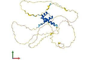 Protein Structure (PS) image for ALX Homeobox 3 (ALX3) (AA 1-343) protein (His tag) (ABIN7562507)