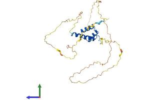Protein Structure (PS) image for Distal-Less Homeobox 3 (DLX3) (AA 1-287) protein (His tag) (ABIN7557815)