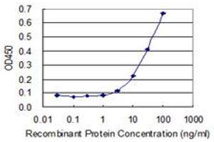 Detection limit for recombinant GST tagged RBKS is 1 ng/ml as a capture antibody. (Ribokinase 抗体  (AA 1-322))