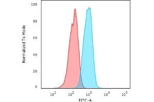 Flow Cytometric Analysis of PFA-fixed MCF-7 cells using HER-4 / ERBB4 Mouse Monoclonal Antibody (HFR-1) followed by Goat anti-Mouse IgG-CF488 (Blue); Isotype Control (Red). (ERBB4 抗体  (AA 1116-1269))