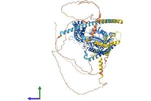 Protein Structure (PS) image for Polycystic Kidney Disease 2 (Autosomal Dominant) (PKD2) (AA 1-968) protein (His tag) (ABIN7554932)