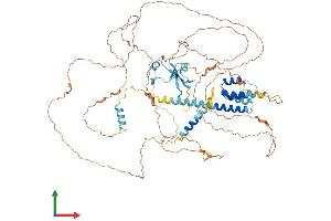 AlphaFold protein structure predicition of Human Recombinant CKAP2L Protein, UniprotID Q8IYA6