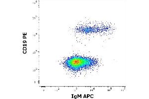 Flow cytometry multicolor surface staining of human lymphocytes stained using anti-human IgM (CH2) APC antibody (concentration in sample 0,6 μg/mL) and anti-human CD19 (LT19) PE antibody (20 μL reagent / 100 μL of peripheral whole blood). (小鼠 anti-人 IgM Antibody (APC))
