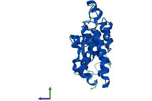 Protein Structure (PS) image for Chloride Intracellular Channel 3 (CLIC3) (AA 1-236) protein (His tag) (ABIN7546614)