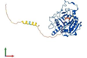 Protein Structure (PS) image for Histo-blood group A transferase (ABO) (AA 1-354) protein (His tag) (ABIN7552735)