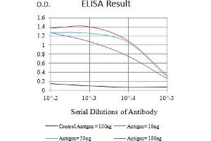 Black line: Control Antigen (100 ng),Purple line: Antigen (10 ng), Blue line: Antigen (50 ng), Red line:Antigen (100 ng) (CD72 抗体  (AA 117-359))