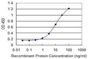 Detection limit for recombinant GST tagged SEC14L2 is 0. (SEC14L2 抗体  (AA 101-199))