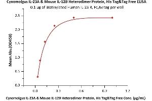 Immobilized Biotinylated Human IL-23 R, Fc,Avitag (ABIN6810042,ABIN6938853) at 1 μg/mL (100 μL/well) on Streptavidin precoated (0.