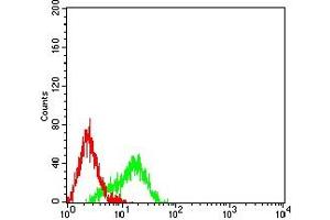 Flow Cytometry (FACS) image for anti-Heterogeneous Nuclear Ribonucleoprotein M (HNRNPM) (AA 17-161) antibody (ABIN7193216)