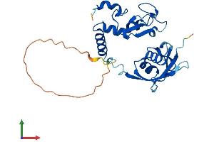 Protein Structure (PS) image for Polycomb Group Ring Finger 3 (PCGF3) (AA 1-242) protein (His tag) (ABIN7550648)
