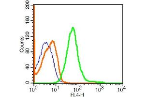 U937 cells probed with Rabbit Anti-Sialoadhesin Polyclonal Antibody, ALEXA FLUOR® 647 Conjugated (bs-10751R-A647) for 30 minutes compared to control cells (blue) and isotype control (orange). (Sialoadhesin/CD169 抗体  (AA 851-950) (AbBy Fluor® 647))