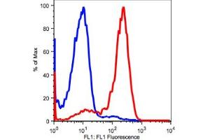 Image no. 2 for anti-CD2 (CD2) antibody (ABIN2704197) (CD2 抗体)