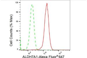 anti-Aldehyde Dehydrogenase 7 Family, Member A1 (ALDH7A1) antibody