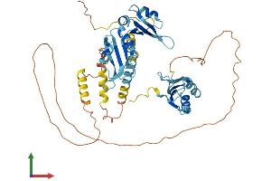 Protein Structure (PS) image for CUGBP, Elav-Like Family Member 1 (CELF1) (AA 1-486) protein (His tag) (ABIN7553307)