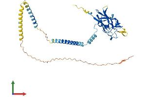 Protein Structure (PS) image for Sad1 and UNC84 Domain Containing 5 (SUN5) (AA 1-379) protein (His tag) (ABIN7544066)
