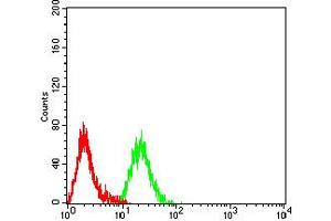 Flow cytometric analysis of Raji cells using CD268 mouse mAb (green) and negative control (red).