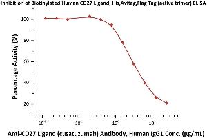 ELISA image for CD70 Molecule (CD70) (AA 52-193) (Active) protein (His tag,AVI tag,DYKDDDDK Tag,Biotin) (ABIN6951035)