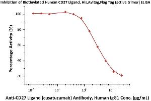 Serial dilutions of A Ligand (cusatuzumab) Antibody, Human IgG1 were added into Human CD27, Fc Tag (ABIN2180735,ABIN2180734) : Biotinylated Human CD27 Ligand, His,Avitag,Flag Tag (active trimer) (MALS verified) (ABIN6951035,ABIN6952257) binding reactions. (CD70 Protein (AA 52-193) (His tag,AVI tag,DYKDDDDK Tag,Biotin))